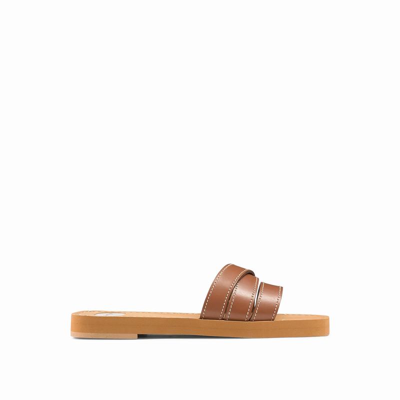 Brown Russell And Bromley Bon Voyage Women\'s Mules | LTW8446FA