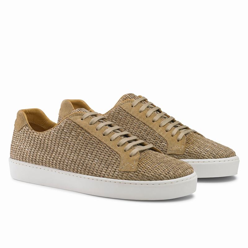 Brown Russell And Bromley Park Run Men's Low Top Sneakers | WKJ1457TW